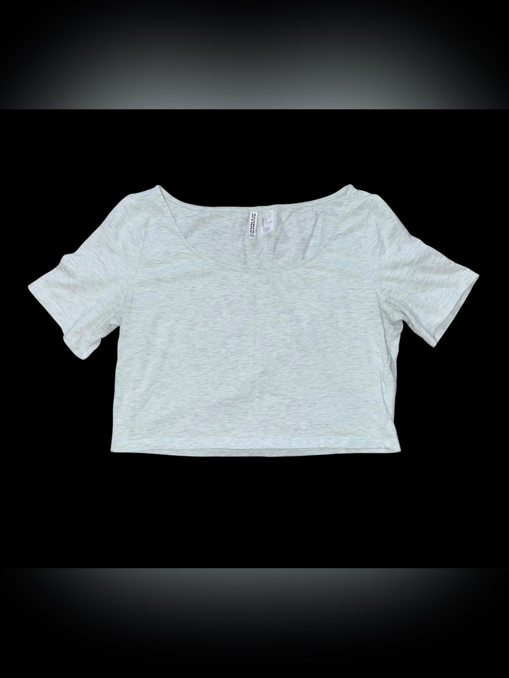 H&M Divided Womens L Gray Scoop Neck Short Sleeve Crop Top Basic Stretch Tee